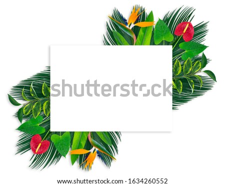 Similar – Frame with tropical palm leaves and flowers