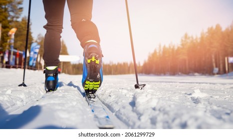 Banner Winter Sports Cross Of Country Skis On Fresh Snow On Sunny Morning Day.