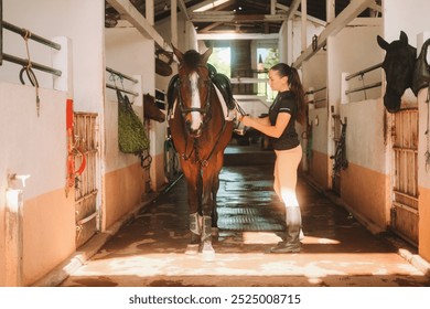 Banner with young woman rider in equestrian uniform in stable saddling her horse. Horse riding training. She throws saddle on brown horse's back and fastens it. Authentic village barn.