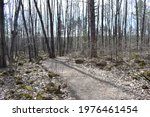 Banning State Park, Sandstone, Minnesota 4-17-2021 - Hiking trails in Banning State Park
