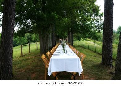 The Banquet Table At A Farm To Table Dinner