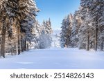 Bansko, Bulgaria winter ski resort panorama with forest pine trees, ski road and snow cannon