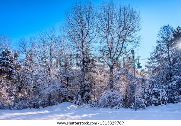 Bansko ski resort forest view with ski\
lift gondola cabin, slope and snow trees,\
Bulgaria