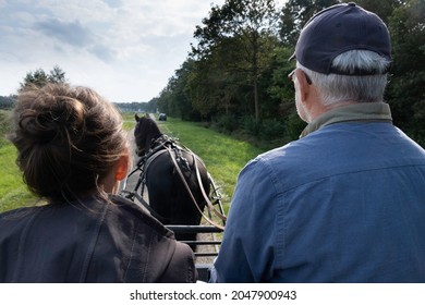 BANT, NETHERLANDS - SEPTEMBER 25 2021: Older Couple (seen From Behind) Sit On The Coach Box Of A Horse-drawn Carriage, Pulled By A Black Friesian Horse. They Take A Ride Through The Forest