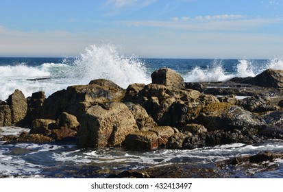 Bantry Bay In South Africa
