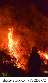 Bantry,Ireland - April 26, 2017: Gorse fire in Ireland. - Shutterstock ID 738258772