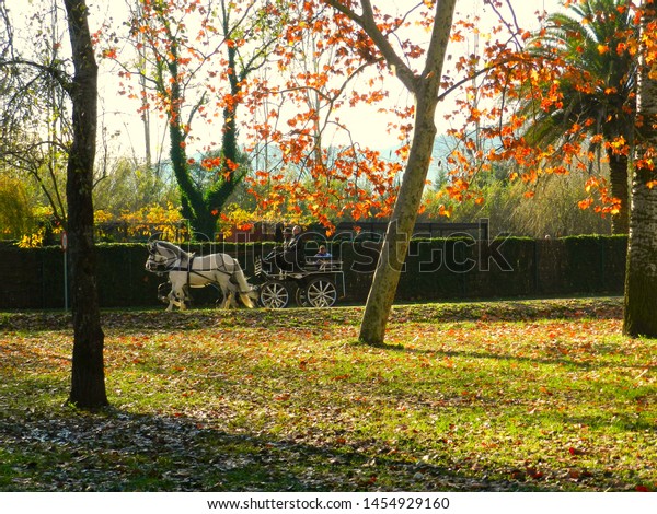 Banyoles Girona Spain November 27 11 Stock Photo Edit Now