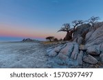 Baobab tree and rocks on Kubu Island after sunset