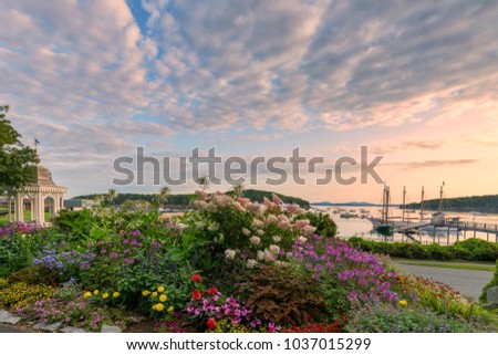 Bar Harbor in the summer with blooming flowers at sunrise