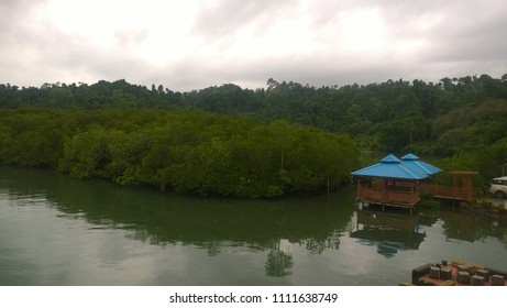 Baratang Island Natural Forest