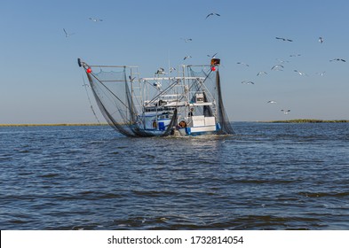 BARATARIA BAY, LA, USA - OCTOBER 26, 2014: Shrimp Boat With Raised Nets And Sea Gulls In Barataria Bay