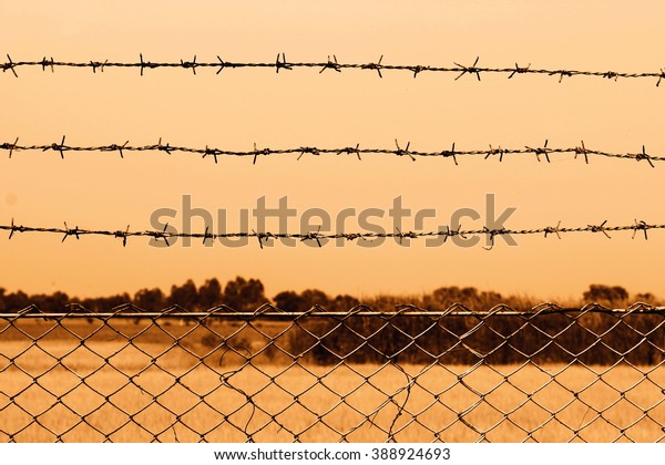 Barb, Wire, Barbed wire\
detention center at countryside and background sepia color style\
cowboy