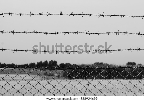 Barb, Wire, Barbed wire detention center\
at countryside and background gray color\
style