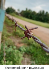 Barb Wire Beside School , Barbed Wire For Territory.