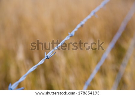 Barb wire country fence in a grass field to keep animals confined to one area.