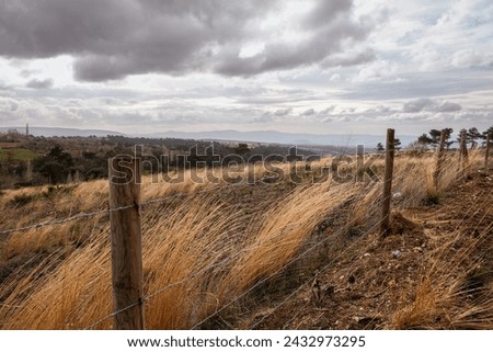 barb wire fence over the hill autumn yellow grass cloudy sky