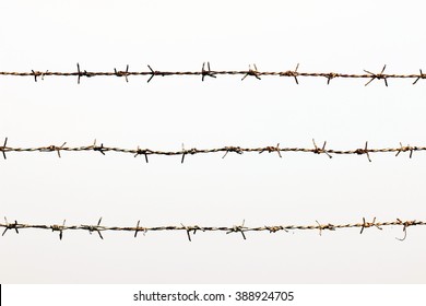 Barb, Wire, Rusty Barbed Wire Detention Center Isolated On White