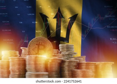 Barbados flag and big amount of golden bitcoin coins and trading platform chart. Crypto currency concept