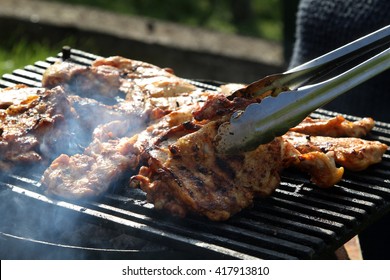 barbecue barbeque picnic BBQ meat pig pork chicken beef veal sausages grilled 
