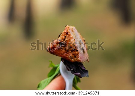 The Barbecue  with basil 