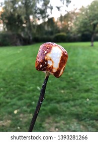 Barbecue Burnt Marshmallow Green Background