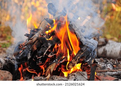 Barbecue In The Forest. Awesome Vision. Create Bonfire Flame. Weekend Time On Fresh Air. Spend Time With Family. Photography With Black Background.