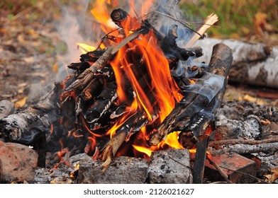 Barbecue In The Forest. Awesome Vision. Create Bonfire Flame. Weekend Time On Fresh Air. Spend Time With Family. Photography With Black Background.