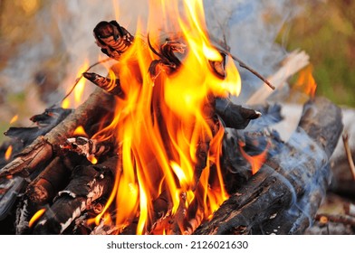 Barbecue In The Forest. Awesome Vision. Create Bonfire Flame. Weekend Time On Fresh Air. Spend Time With Family. Photography With Black Background.