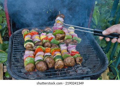 Barbecue Grill, Shish Kabob, Six Vegetables. 