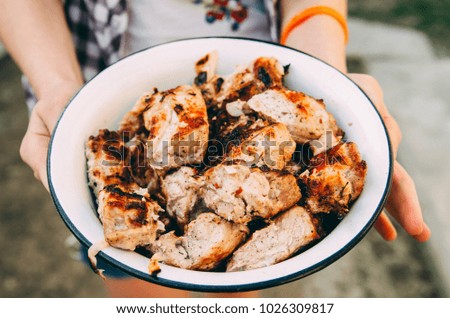 barbecue meet in plate with woman hands
