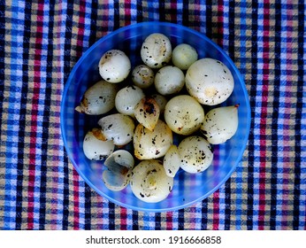 Barbecued Onions.roasted Small White Onion Seeds On The Plate On The Tablecloth                              