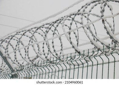 Barbed Metal Fence At The Border Covered With Snow On A Cold Frosty Day, Defending The Country