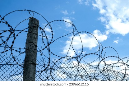 Barbed sharp wire on the background of the blue sky. Illegal immigration concept, unfreedom concept, prison concept, restricted area, modern politics. High quality photo
