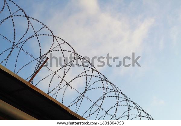 Barbed steel wire is wound in a spiral against a\
blue sky.