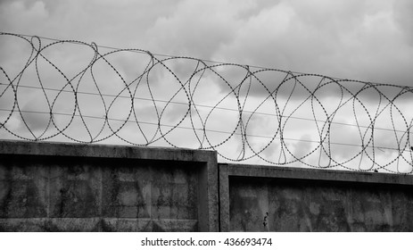 Barbed Wire Stock Photo 521362891 | Shutterstock