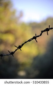 barbed wire