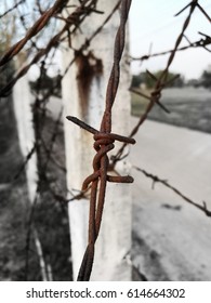 barbed wire