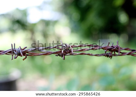 barbed wire