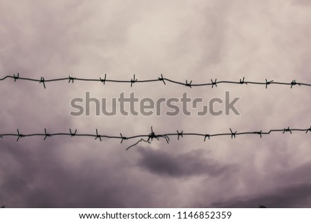 A barbed wire against the gray sky on a gloomy summer day. A barbed wire on the fence of the fenced territory. Like the sky, open to not many and open only to those who are ready to conquer it.