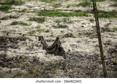 Barbed Wire Against Immigration, Human Liberation, Protection