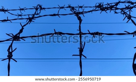 barbed wire against the sky on a high fence.
