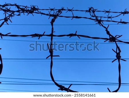 barbed wire against the sky on a high fence.