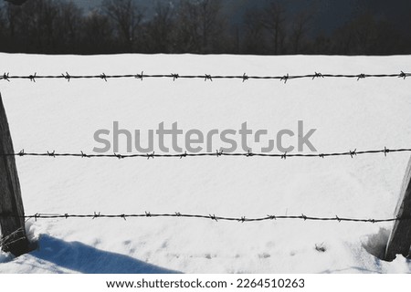 Barbed wire against snow. Rusty metal wire fence. Symbol of concentration camp, prison, jail, borders. 