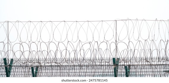 barbed wire as background for security concept                   