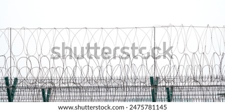 barbed wire as background for security concept                   