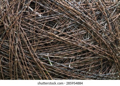 Barbed Wire Ball Closeup