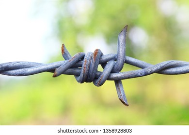 Barbed wire with blur background