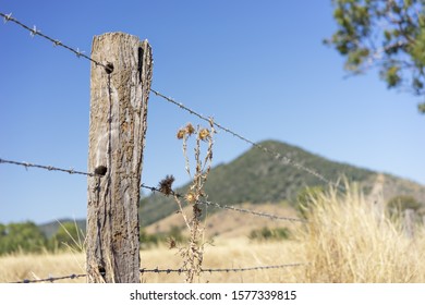 Barbed Wire Or Bobbed Wire Fence With Wooden Fence Post On Agriculture Farmland In Queensland Australia