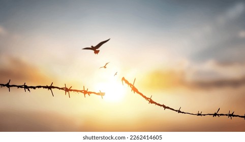 barbed wire broken at  sunset background