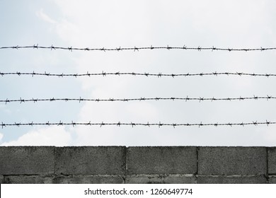 Barbed Wire cement bricks fence - Shutterstock ID 1260649774